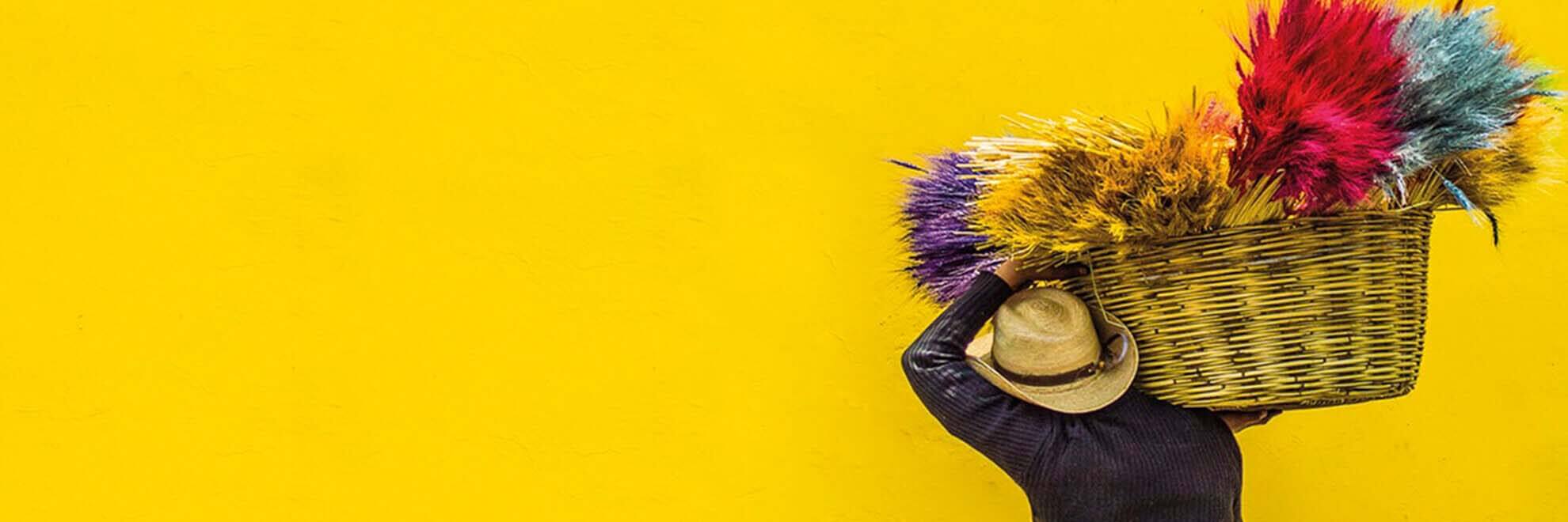 profile-header